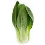 organic bok choy