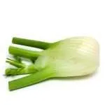 organic bulb fennel