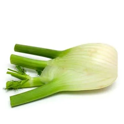 organic bulb fennel