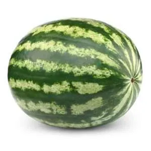 Watermelon Medium