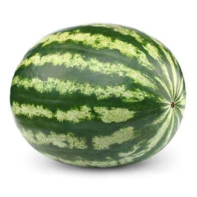 Watermelon Medium