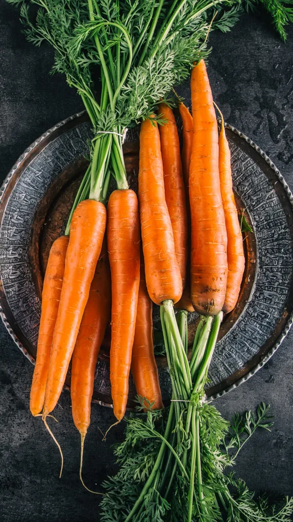 carrot greens on the dark plate and concrete table