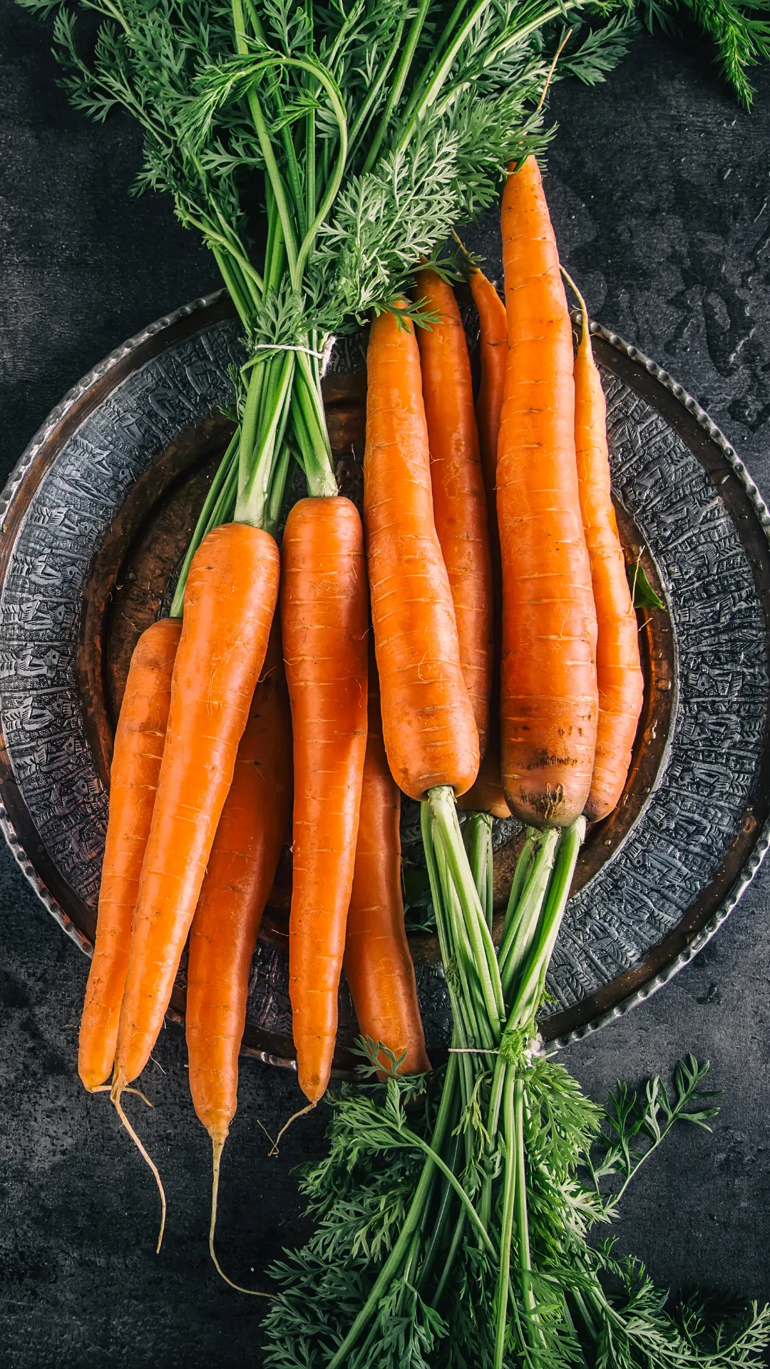 carrot greens on the dark plate and concrete table