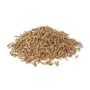 Cumin Seed