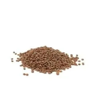 Brown Lentils