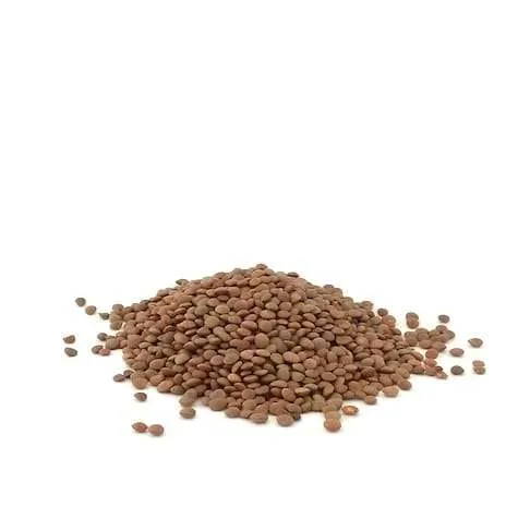 Brown Lentils