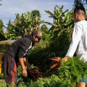 local farmers from organic farm blufarm