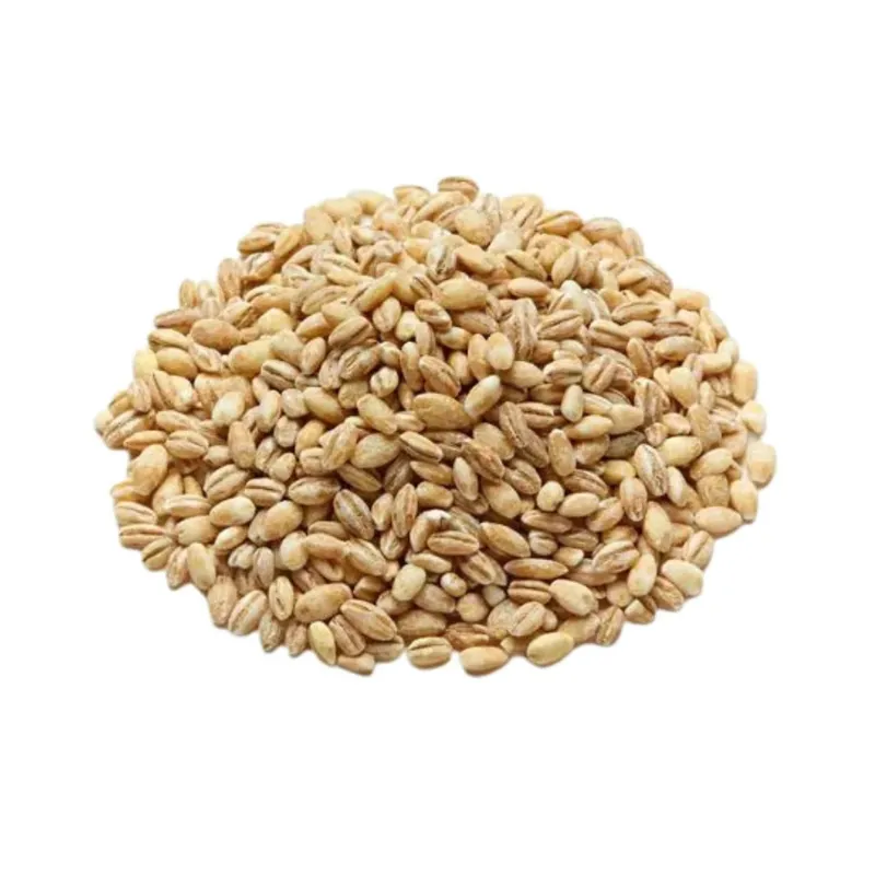 BDS Pearl Barley 460g