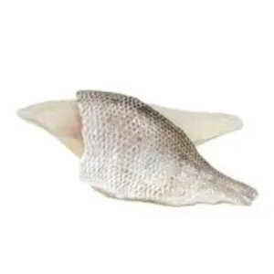 White Snapper Fillet