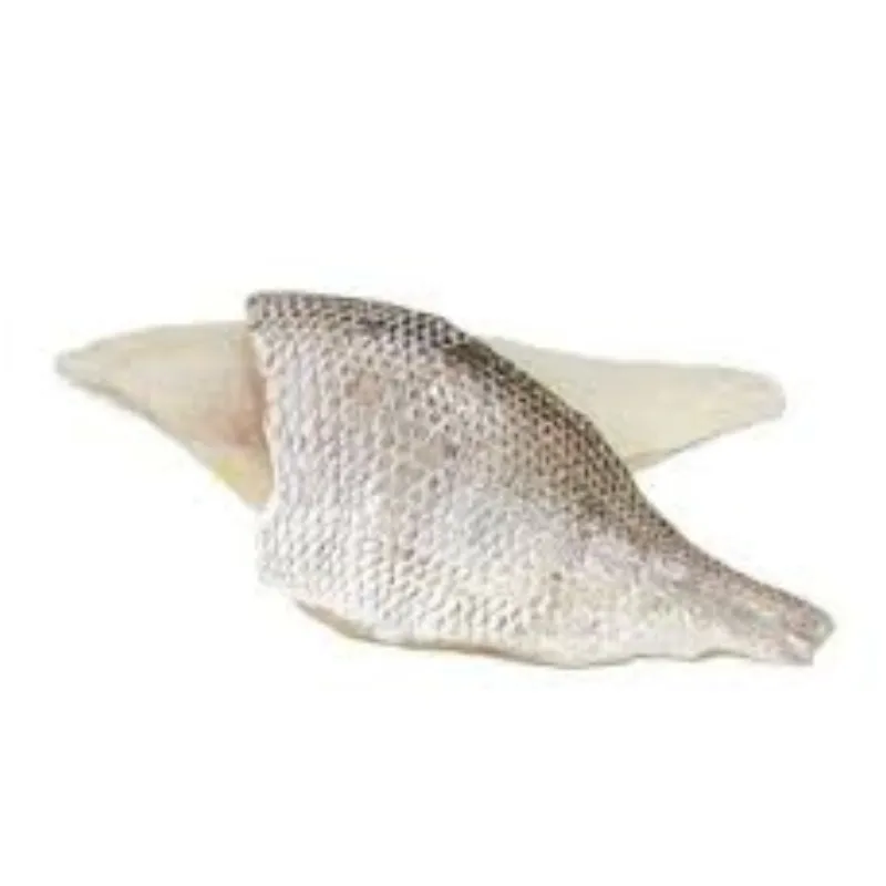 White Snapper Fillet