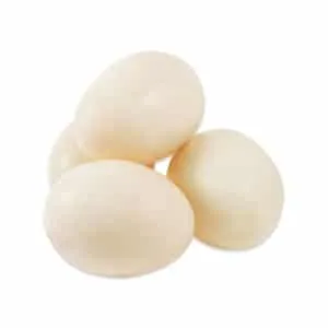 duck egg