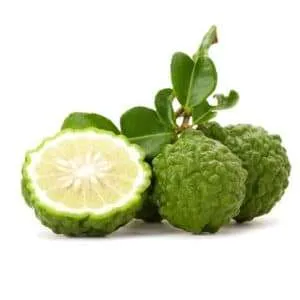 Kaffir Lime