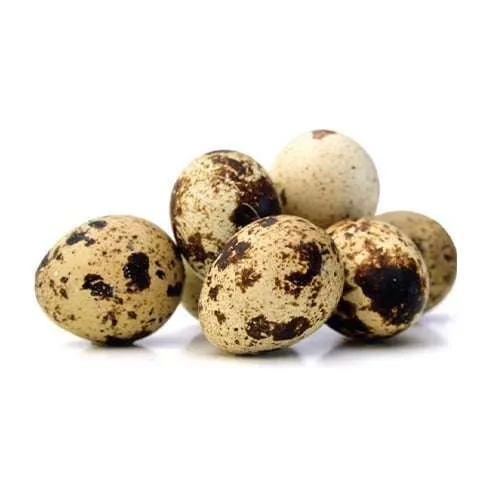 Eggs Quail