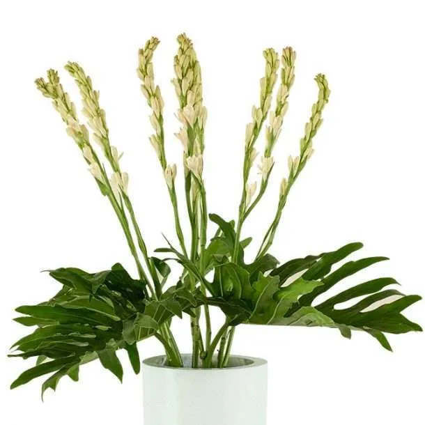 BFR Tuberose Flowers 1 Set
