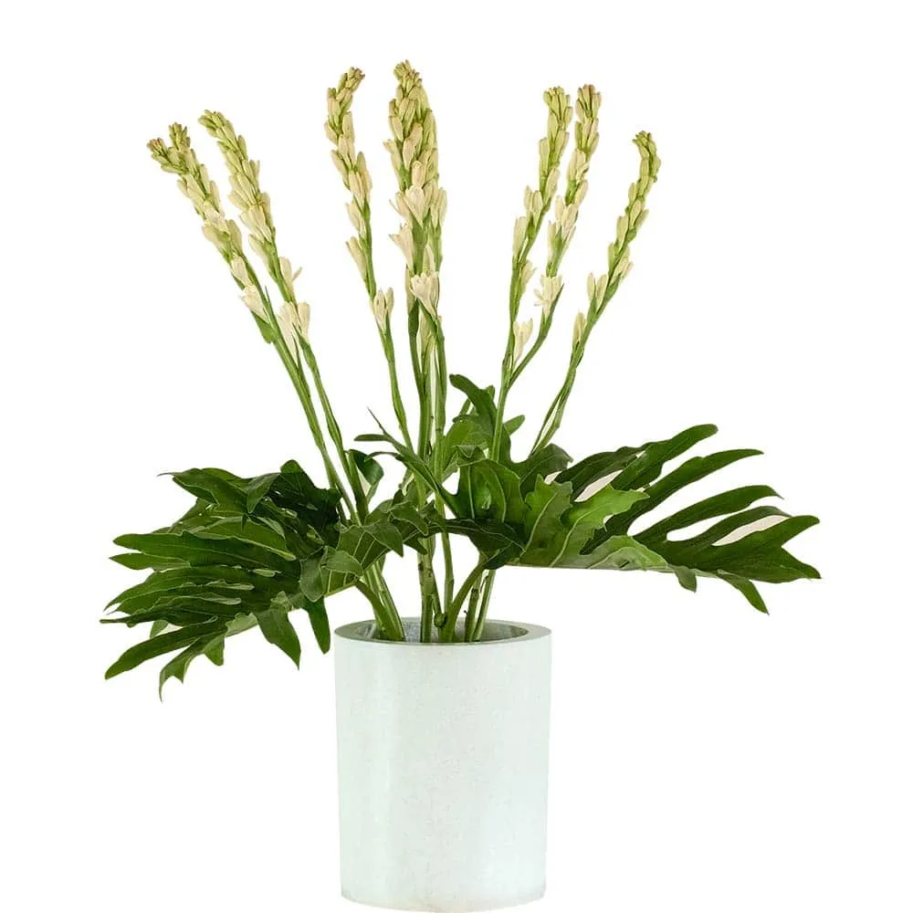BFR Tuberose Flowers 1 Set - Image 2
