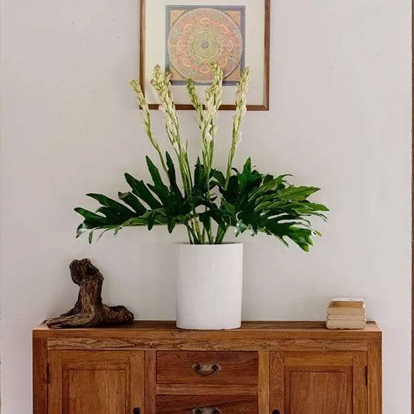 BFR Tuberose Flowers 1 Set - Image 6