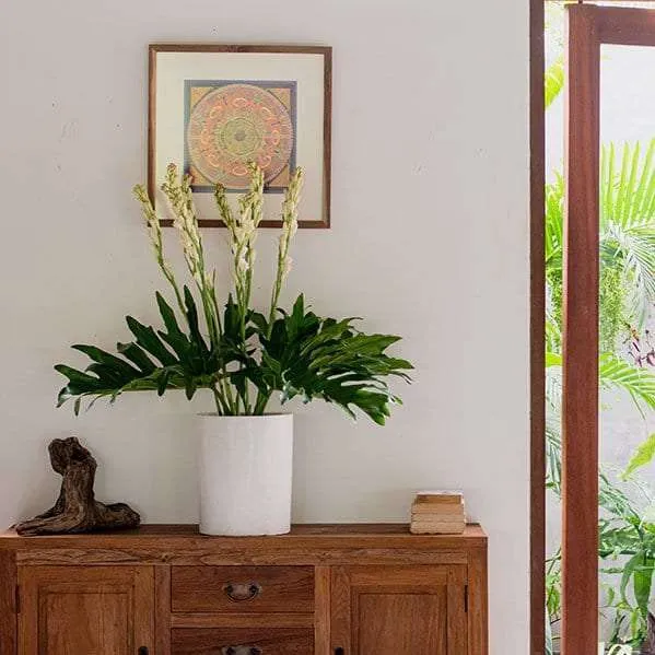 BFR Tuberose Flowers 1 Set - Image 4