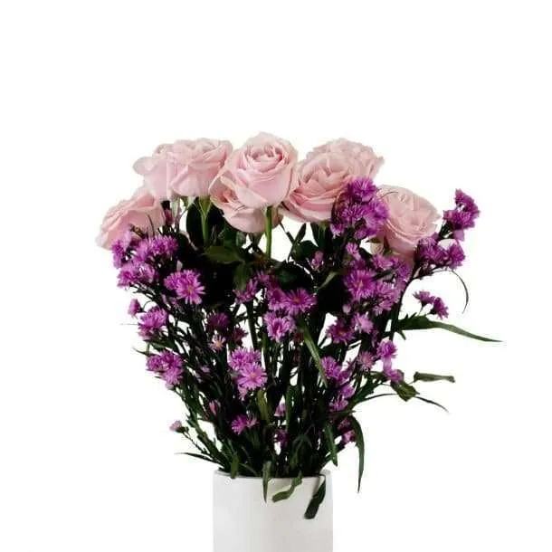 BFR Soft Pink Roses 1 Set
