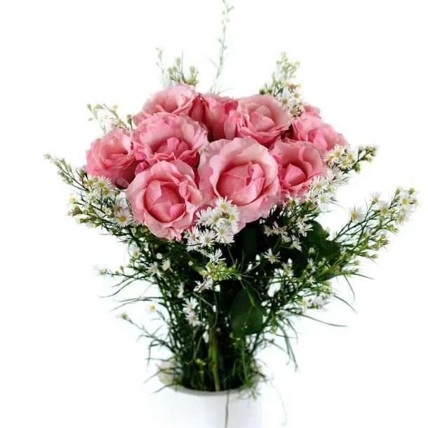 BFR Pink Roses 1 Set