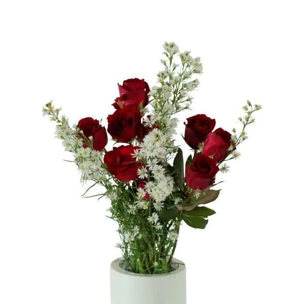 BFR Red Roses 1 Set