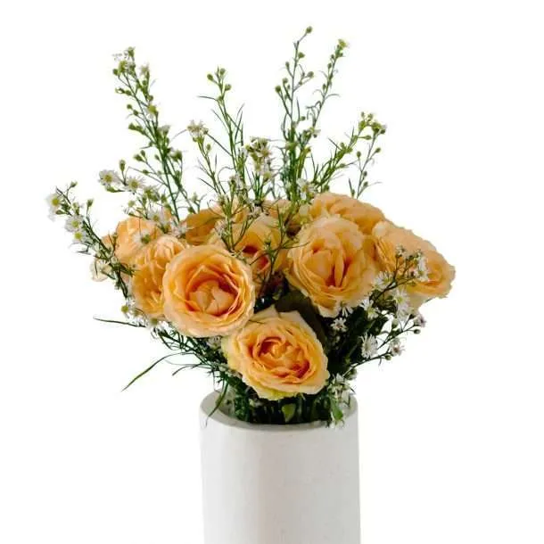 BFR Peach Roses 1set