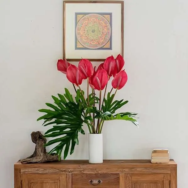 BFR Pink Laceleaf 1 Set - Image 4