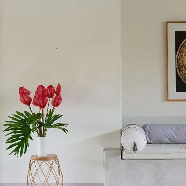 BFR Pink Laceleaf 1 Set - Image 3