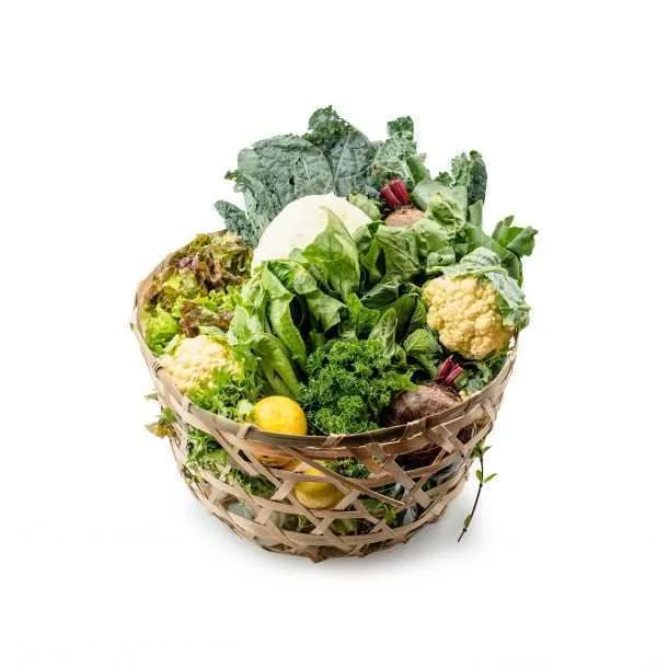 BKM The Ugly Box 3.5 kgs