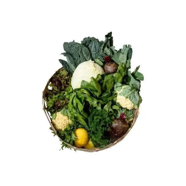 BKM The Ugly Box 3.5 kgs