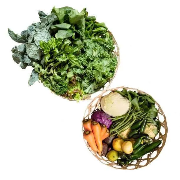 BKM The Ugly Box 7 kgs