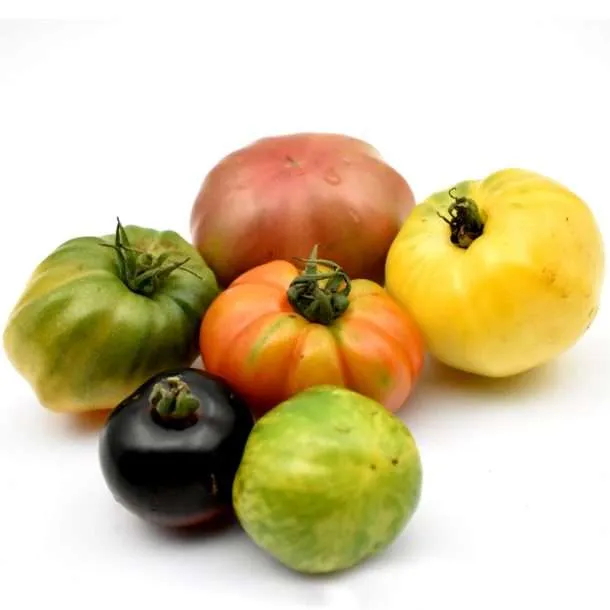 Heirloom Beef Tomatoes from Puri Tomato