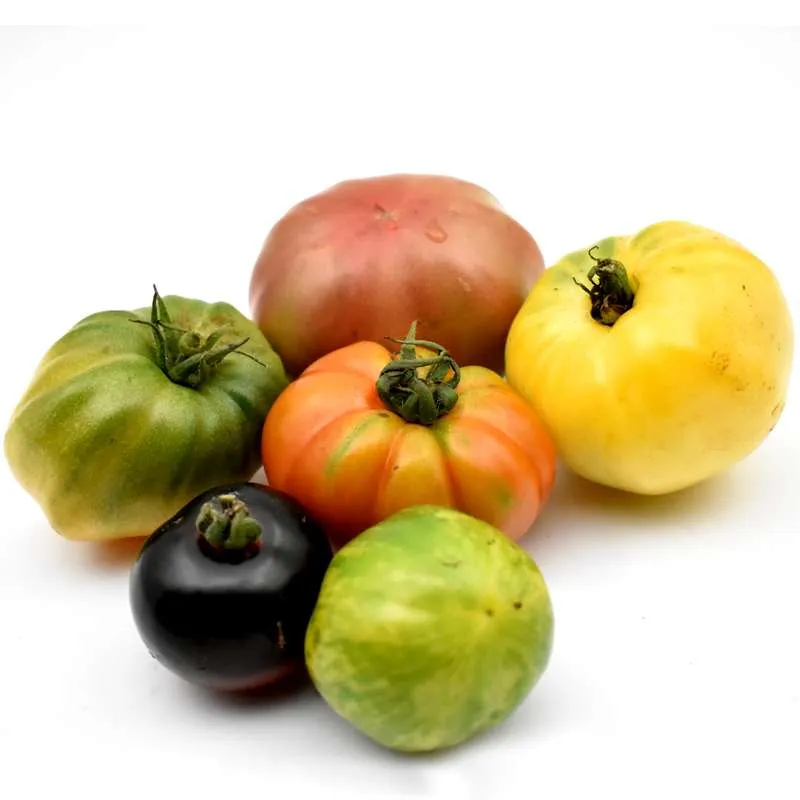 Heirloom Beef Tomatoes from Puri Tomato