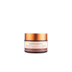 Advanced Repair Night Cream from Djamujamu