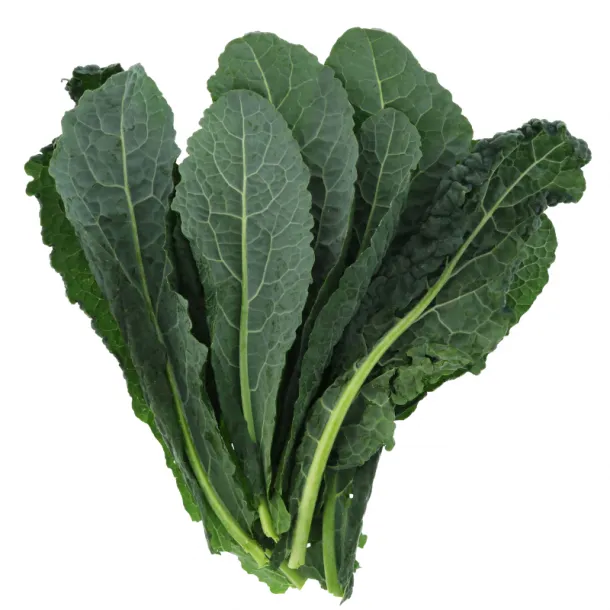 Natural Lacinato Kale