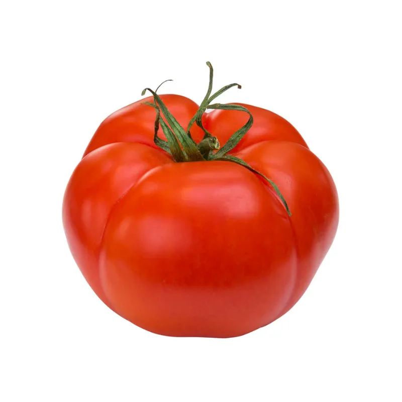 Hydro Beef Tomatoes from Bali Grown