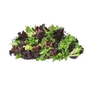 Hydro Salanova Lettuce Mix from Bali Grown