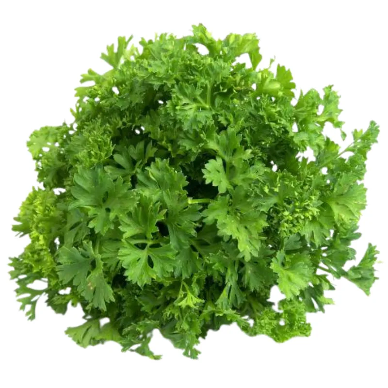 Italian Parsley