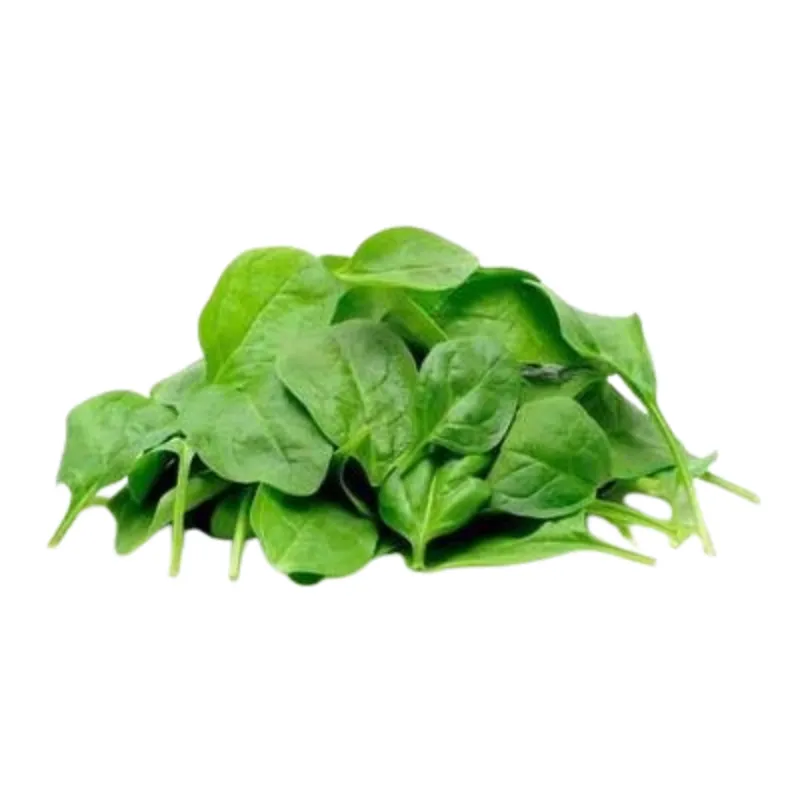 Hydro Baby English Spinach from Bali Grown