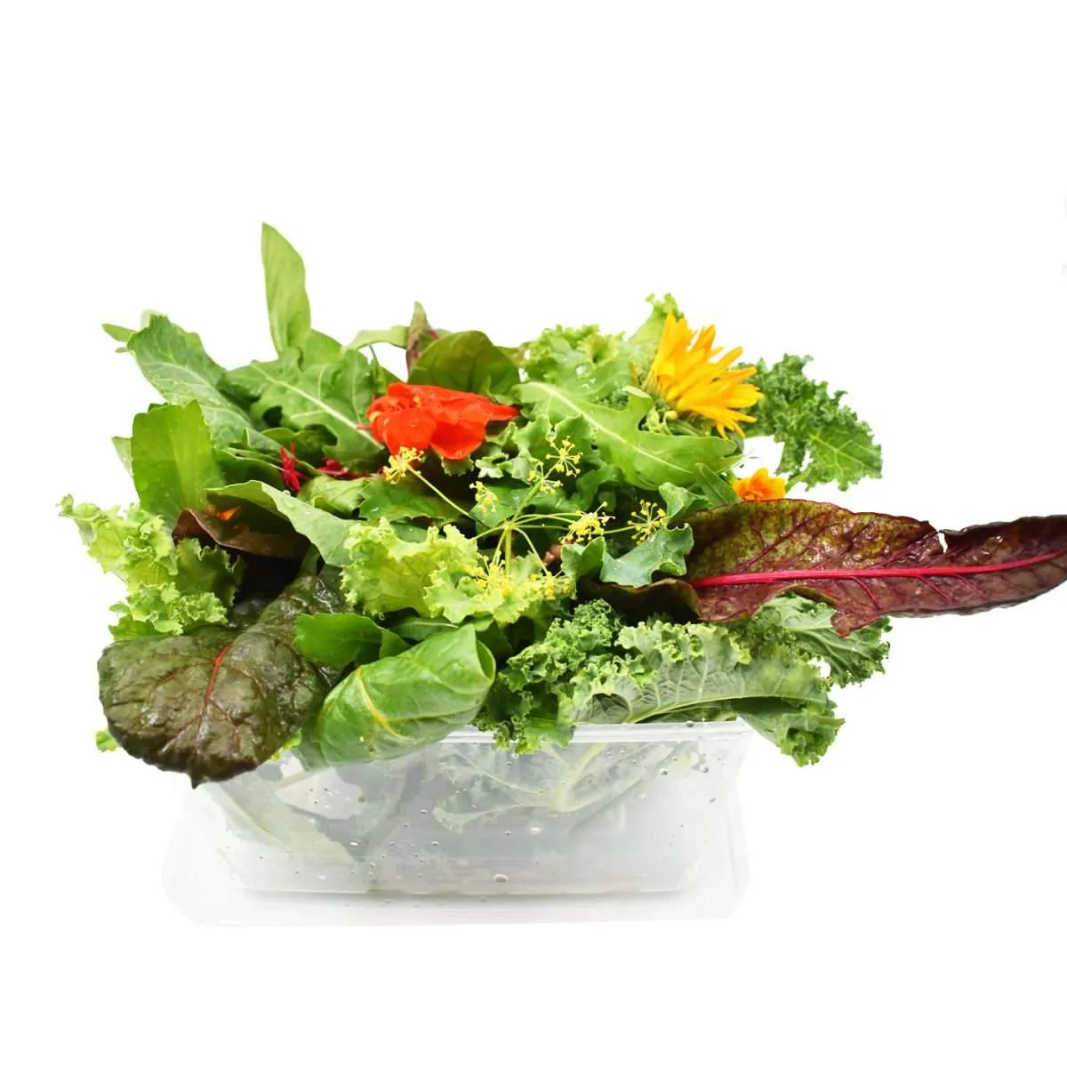 Hydro Power Mix from Bali Grown