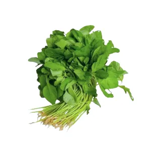 Natural Spinach from Sandan Natural