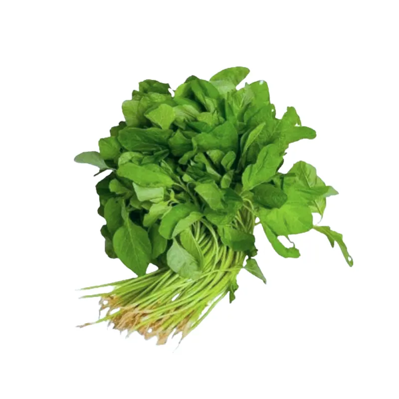 Natural Spinach from Sandan Natural