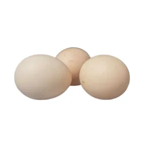 Organic Free Range Chicken 6's