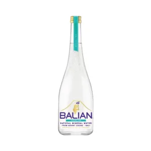 Sparkling Mineral Water Large
